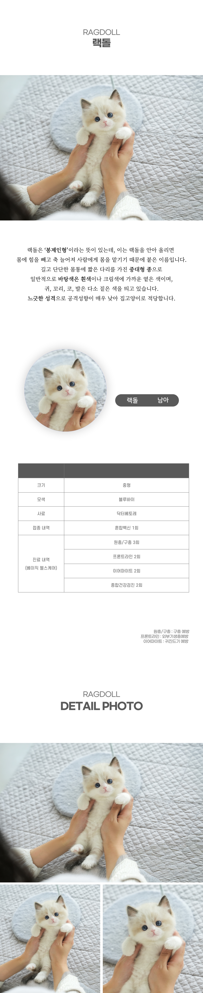 랙돌_상세이미지_2